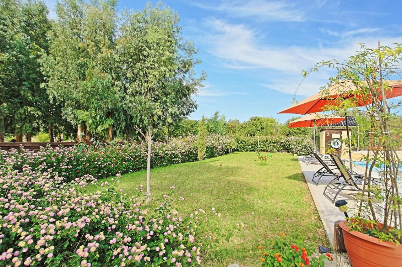 Villa Georgios Rafaela Polis 外观 照片